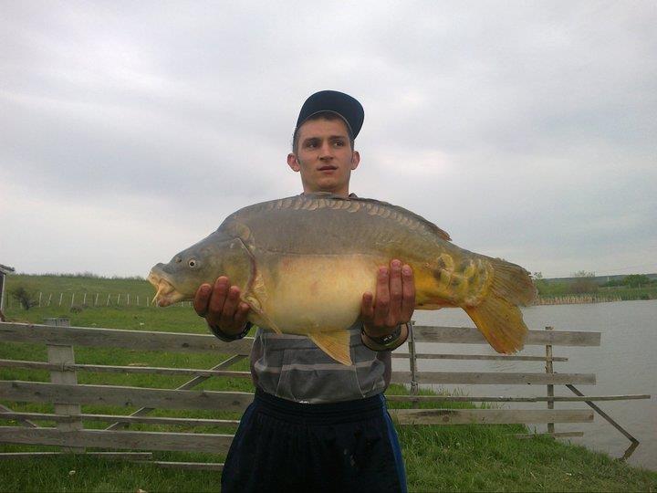 Sustra 2012 jud Timis - 217378_212828368745950_524582_n.jpg